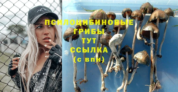таблы Приозерск