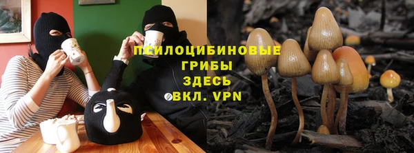 прущие крисы Протвино